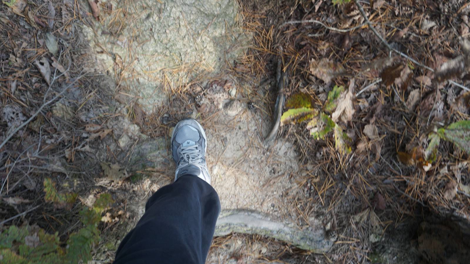 등산은 앞에 힘든 길을 계속 걷다보면 어느새 도착해있더라..