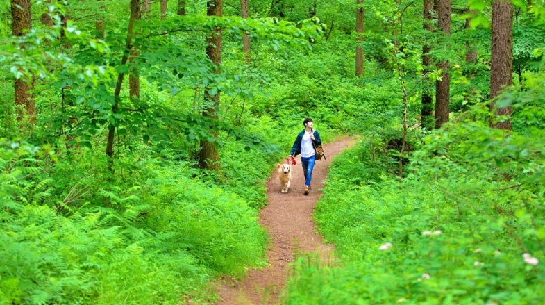 마음이 원하는 쉼은 자연속에서의 이완이다.