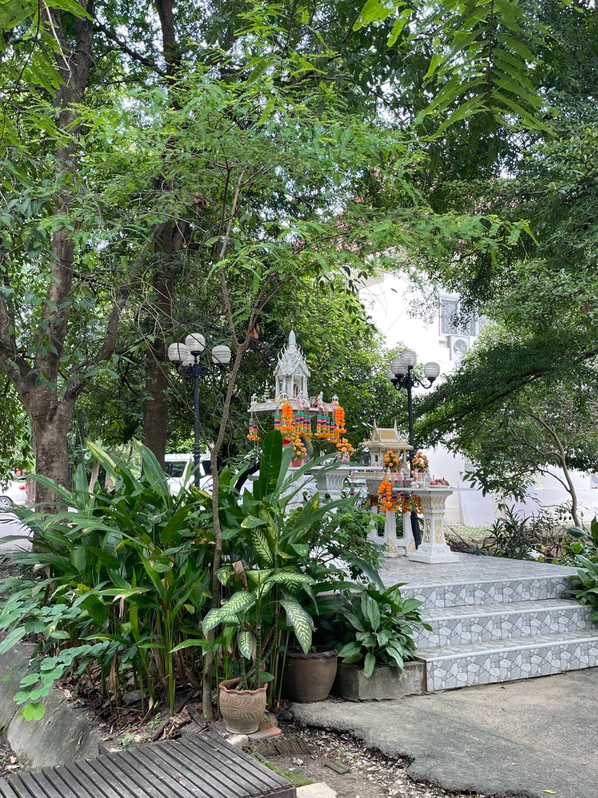 설문 참여 사미가 보내준 사진