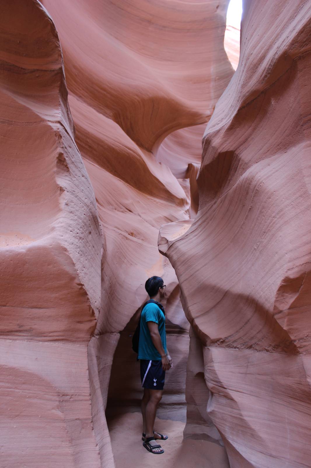 설문 참여 사미가 보내준 사진 