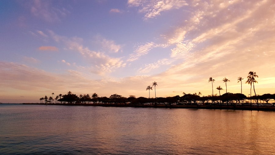 설문 참여 사미가 보내준 사진 