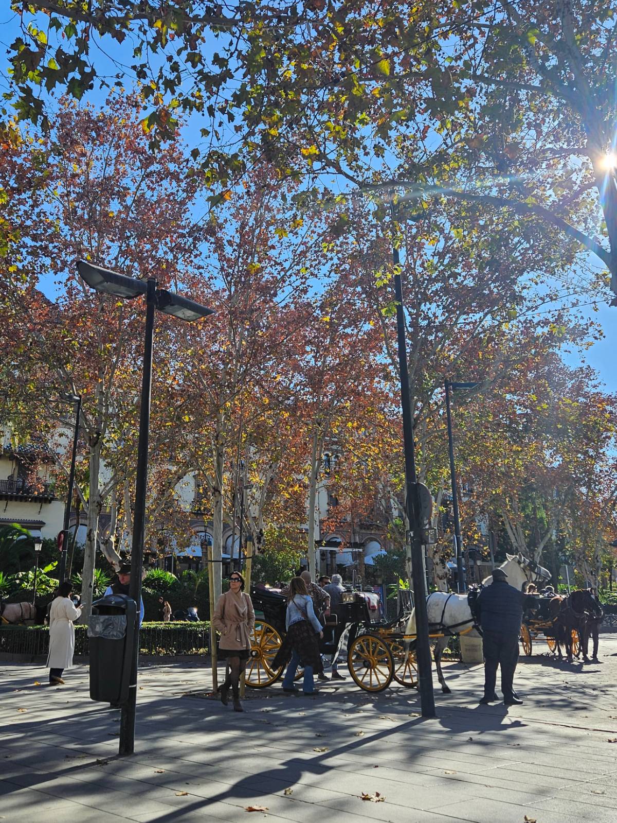 설문 참여 사미가 보내준 사진