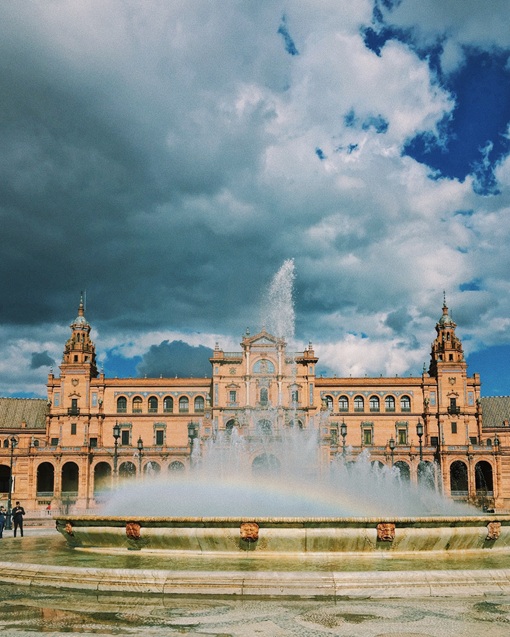 호니가 직접 찍은 사진😊