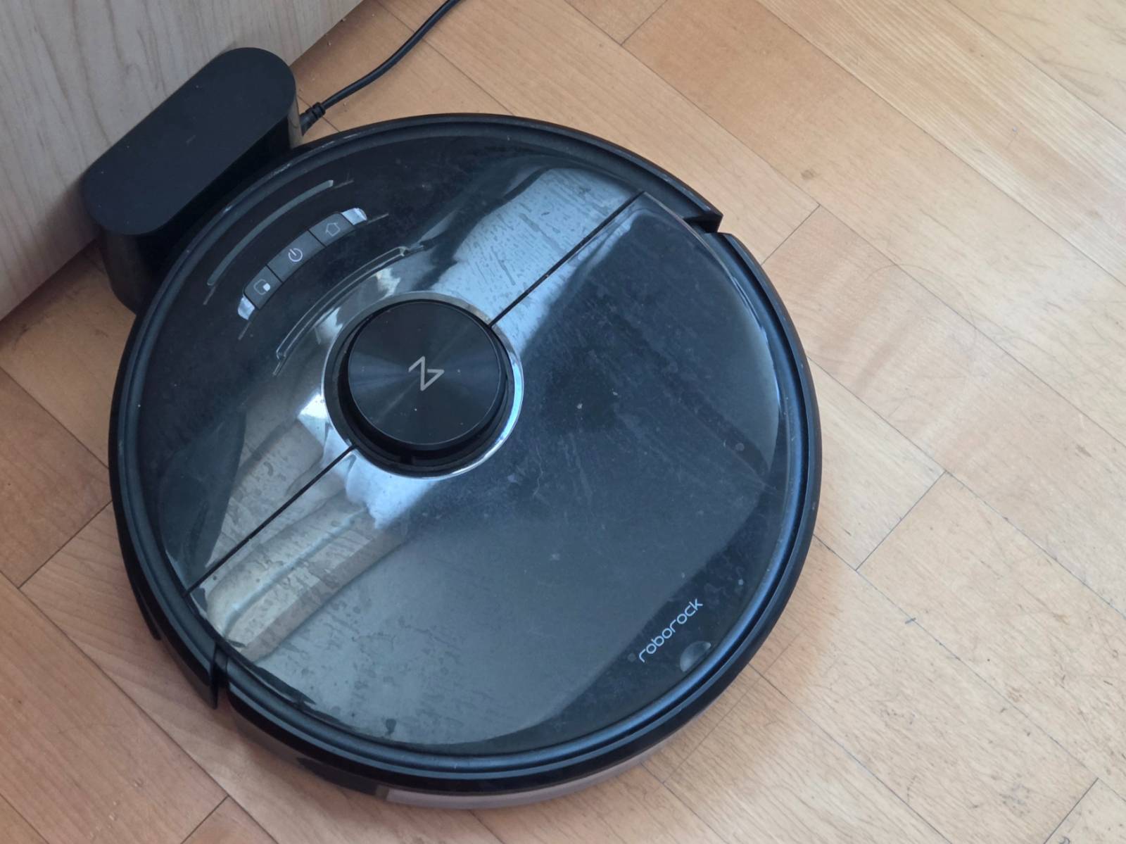 세월의 흔적이 느껴지는 막내 호니의 로청🥹