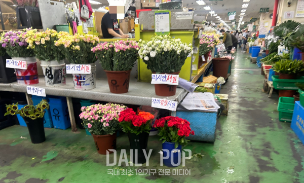 &nbsp; 고속터미널 화훼상가&nbsp;&nbsp;