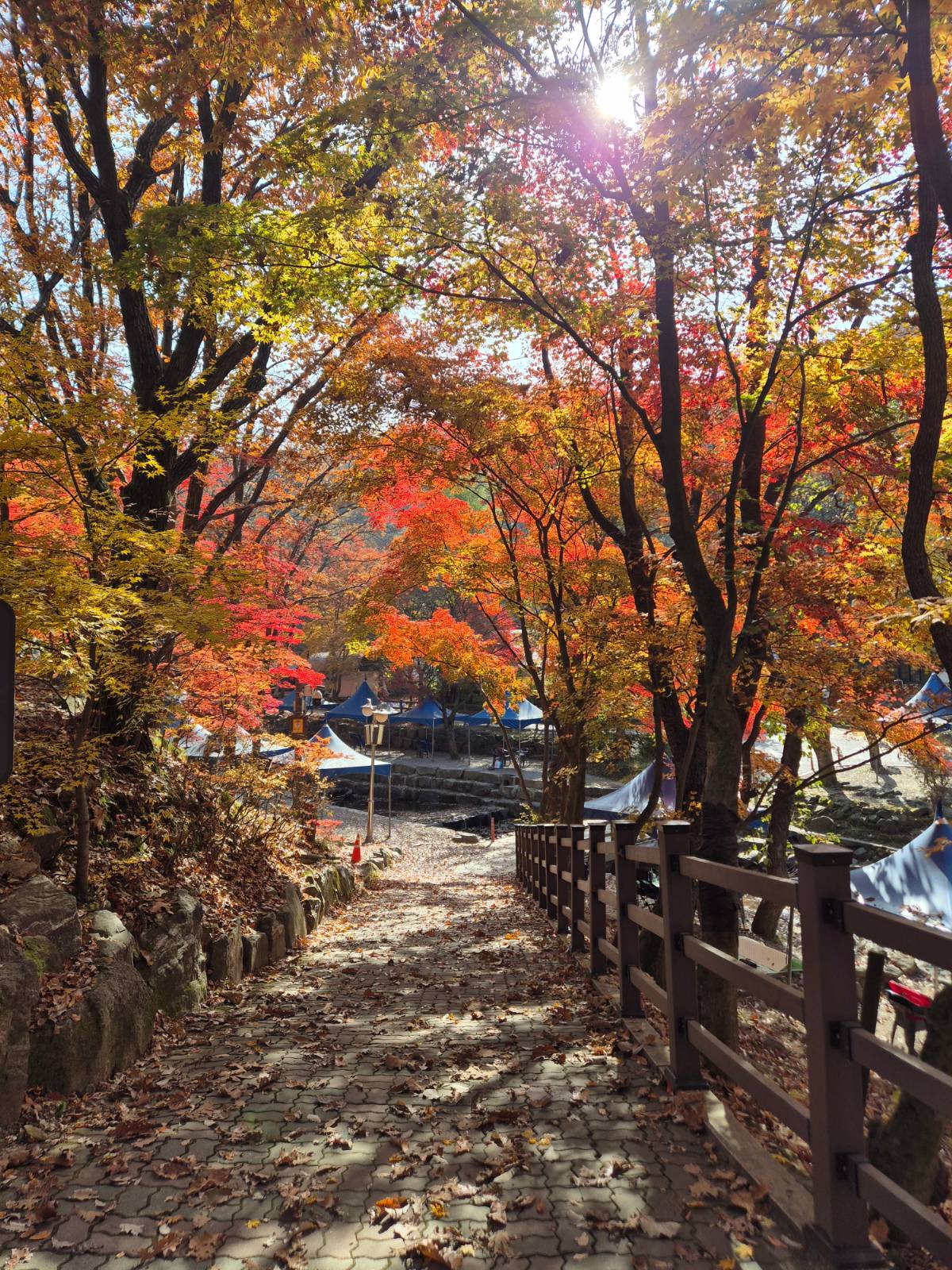 행복에는 눈뜬 장님의 썸네일 이미지