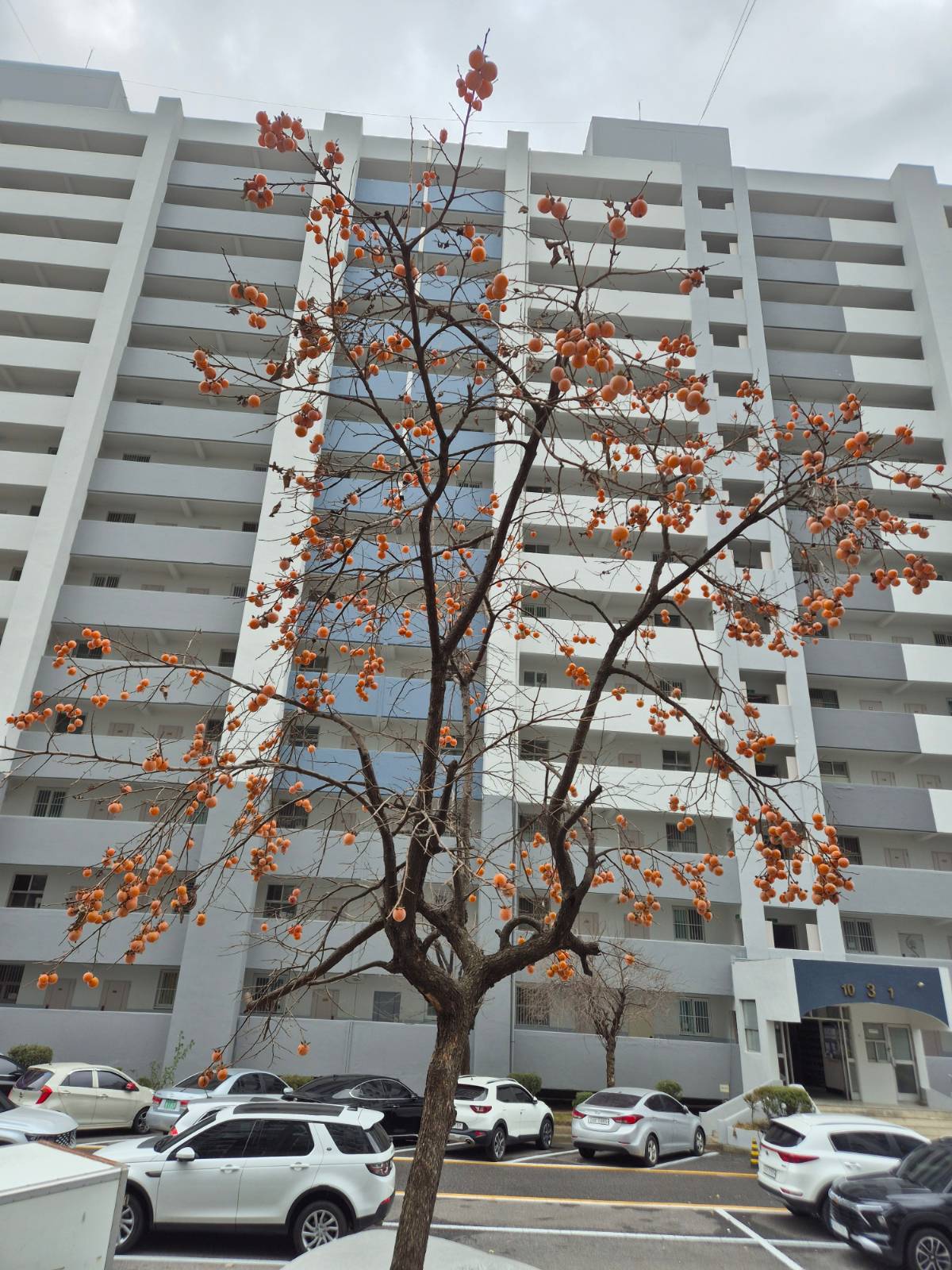 평판과 평가 사이의 썸네일 이미지