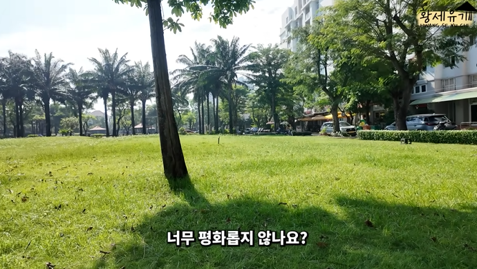 베트남에서 10년이 지나도 한국에 안 돌아가는 이유의 썸네일 이미지