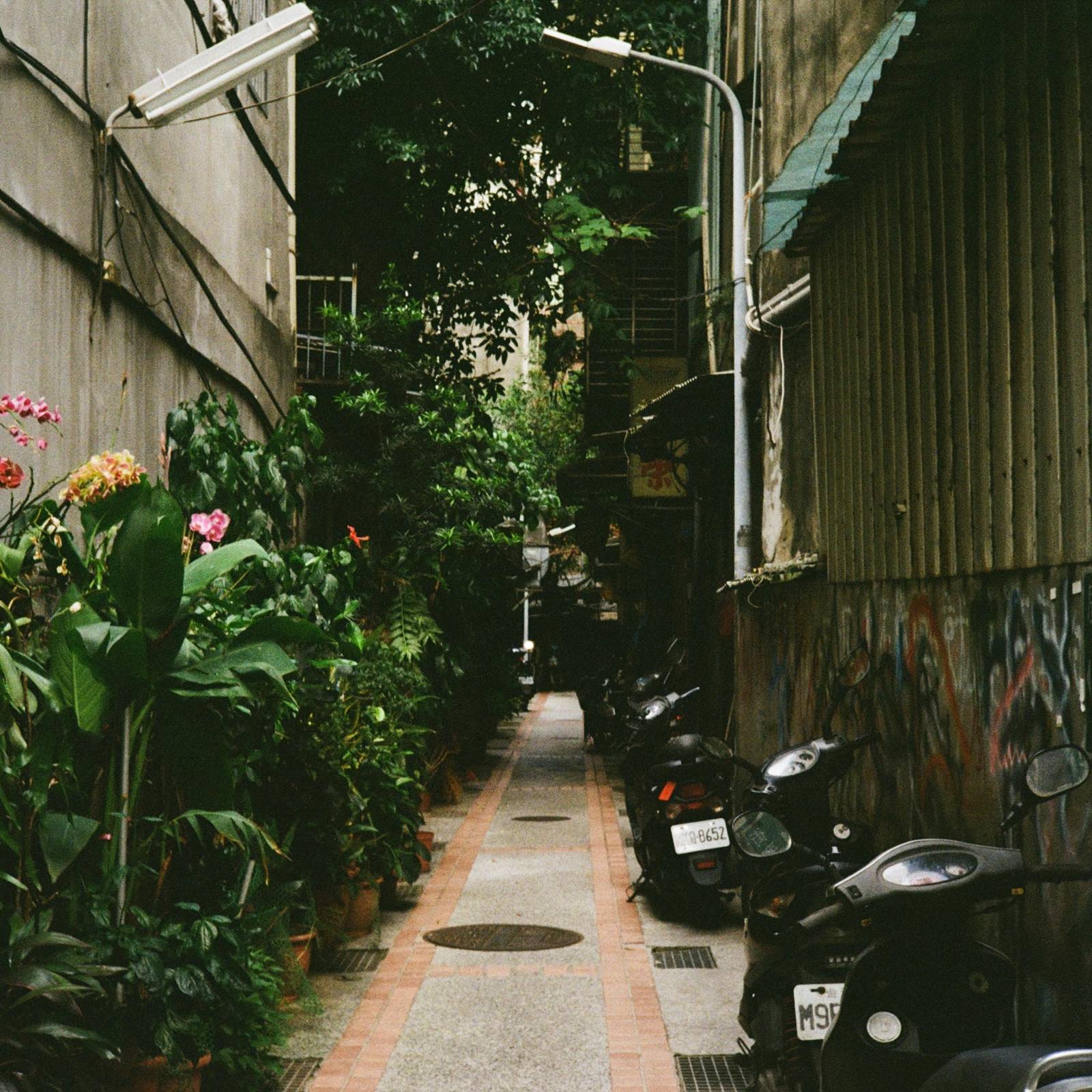 track 16, 릴콘 : 모트 EP[잔상] Release concert의 썸네일 이미지