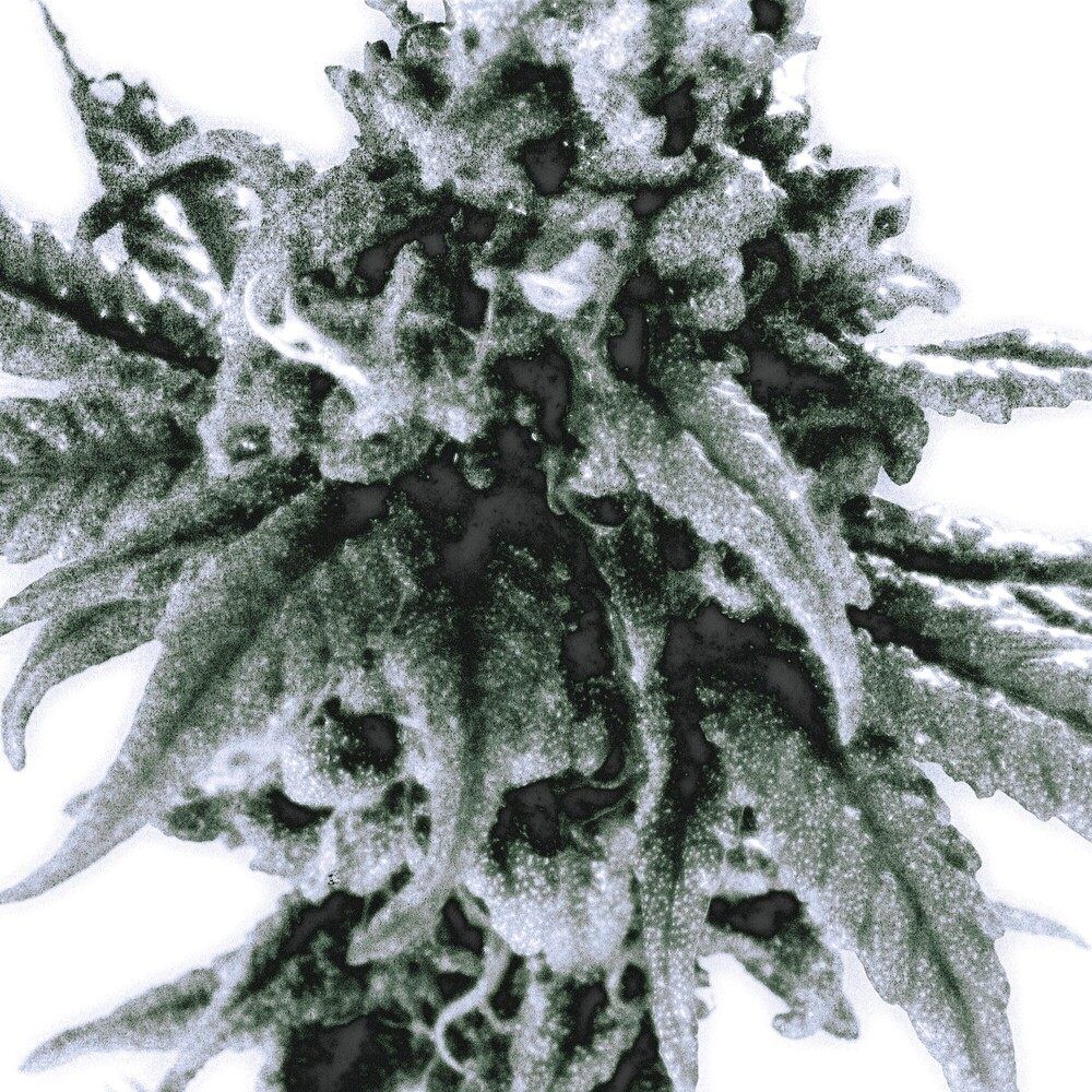 애리(AIRY)_ B,U.D (정규 10.22)