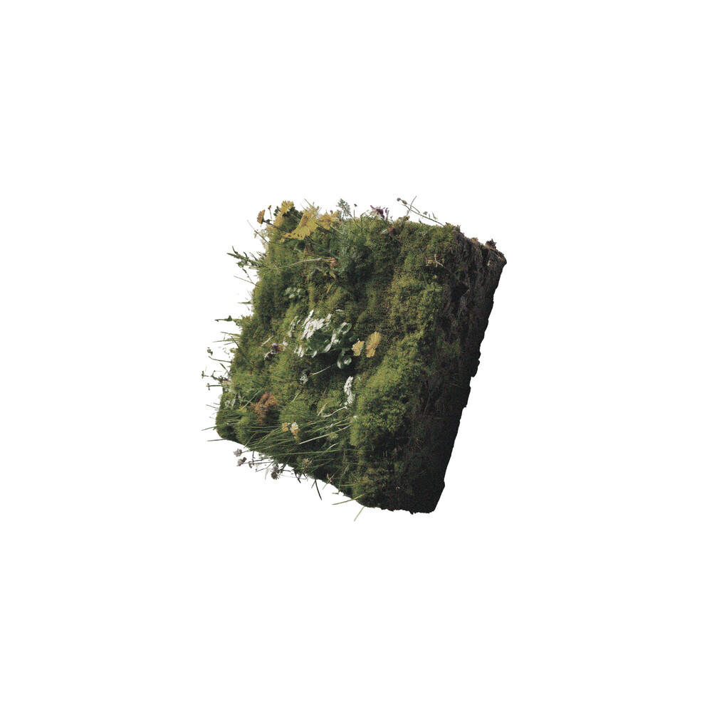 Confined White(컨파인드 화이트)_ Confined White(EP 10.26)