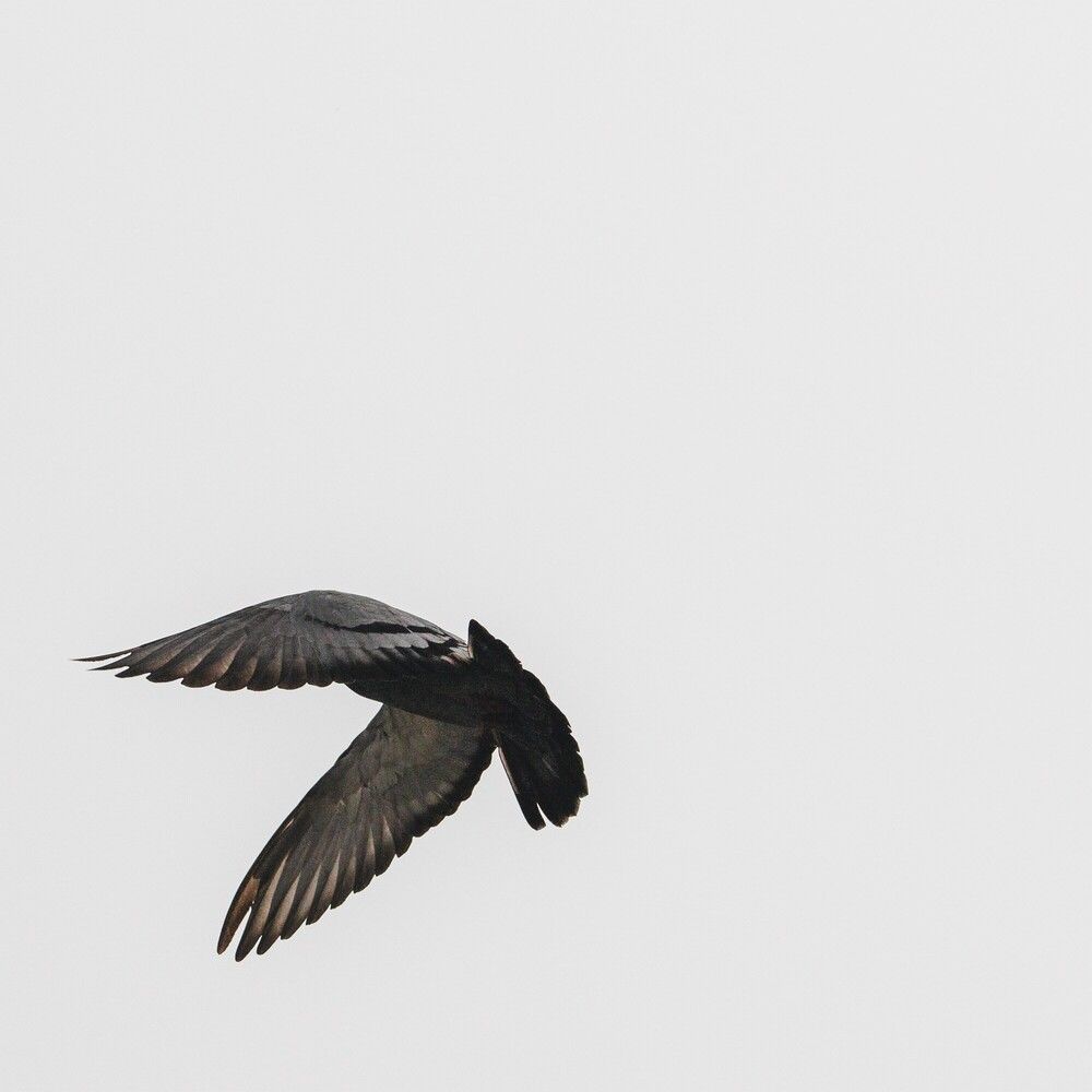 루시드폴_ 또 다른 곳 (정규 11.07)