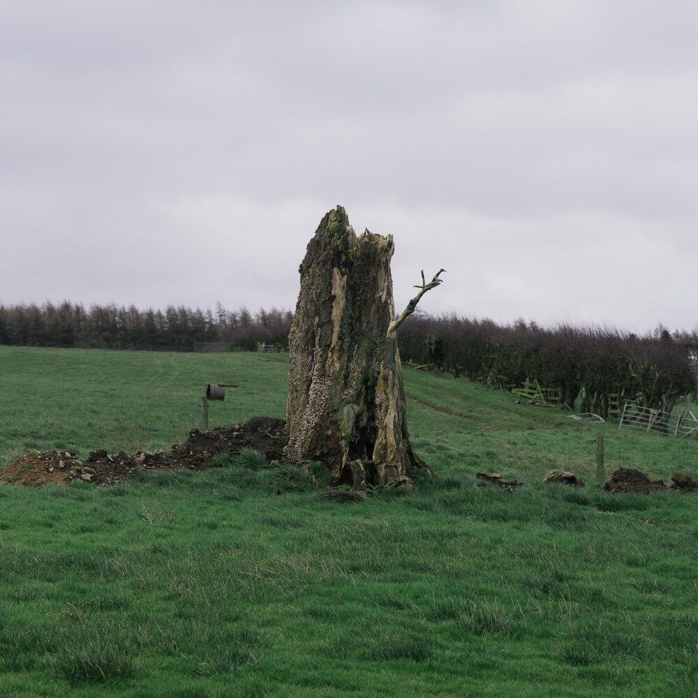 After Thoughts_ Vermin of Mind (정규 11.26)