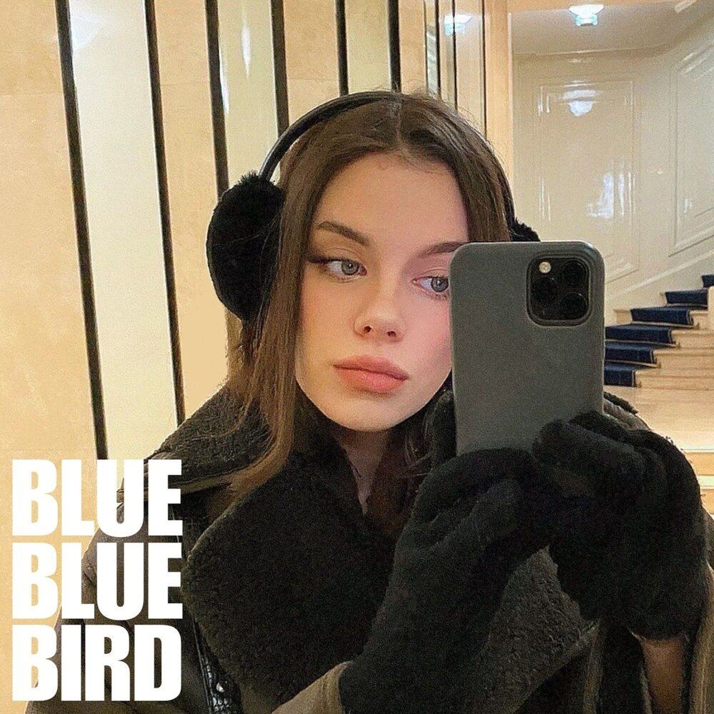 bluebluebird_ white (single 12.21)