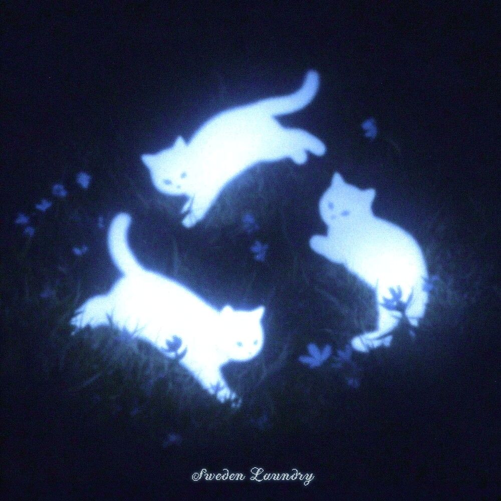 스웨덴세탁소_ 영영 (single 01.20)