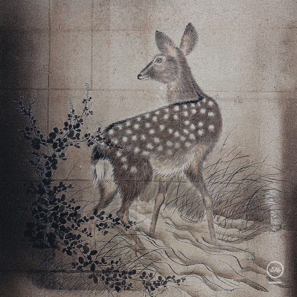 모임 별 (Byul.org)_ 가장 고독한 나라(The Loneliest Country) (EP 02.28)