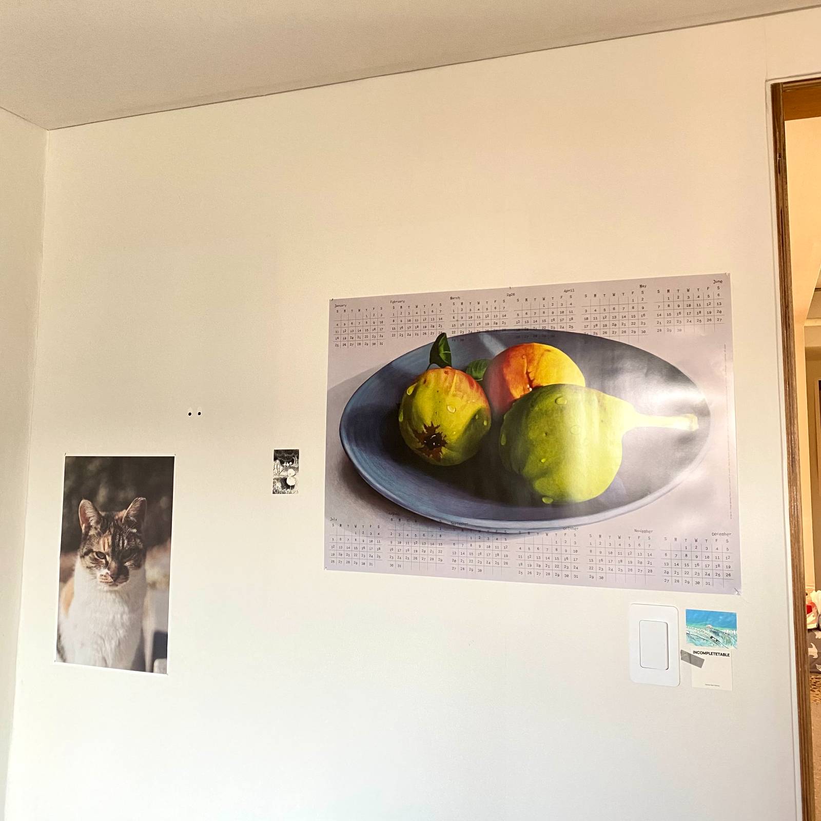 가장 왼쪽 고양이 사진은 표기식 사진가의 『biT』 부록으로 제작된 포스터입니다. 뒷면에 제가 쓴 표기식 작가 인터뷰 글이 실려있습니다. 소진되기 전에 구매하시면 좋습니다.