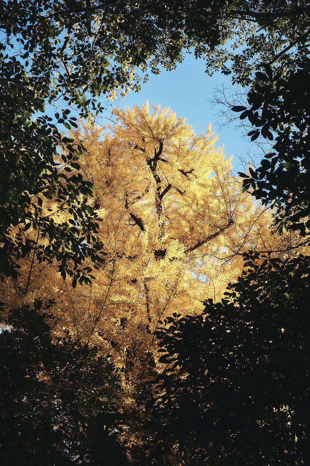 [인터미션 #4] ㅊ과 ㅇㅎ에 관한 ㅇㅇㅊ 일지의 썸네일 이미지