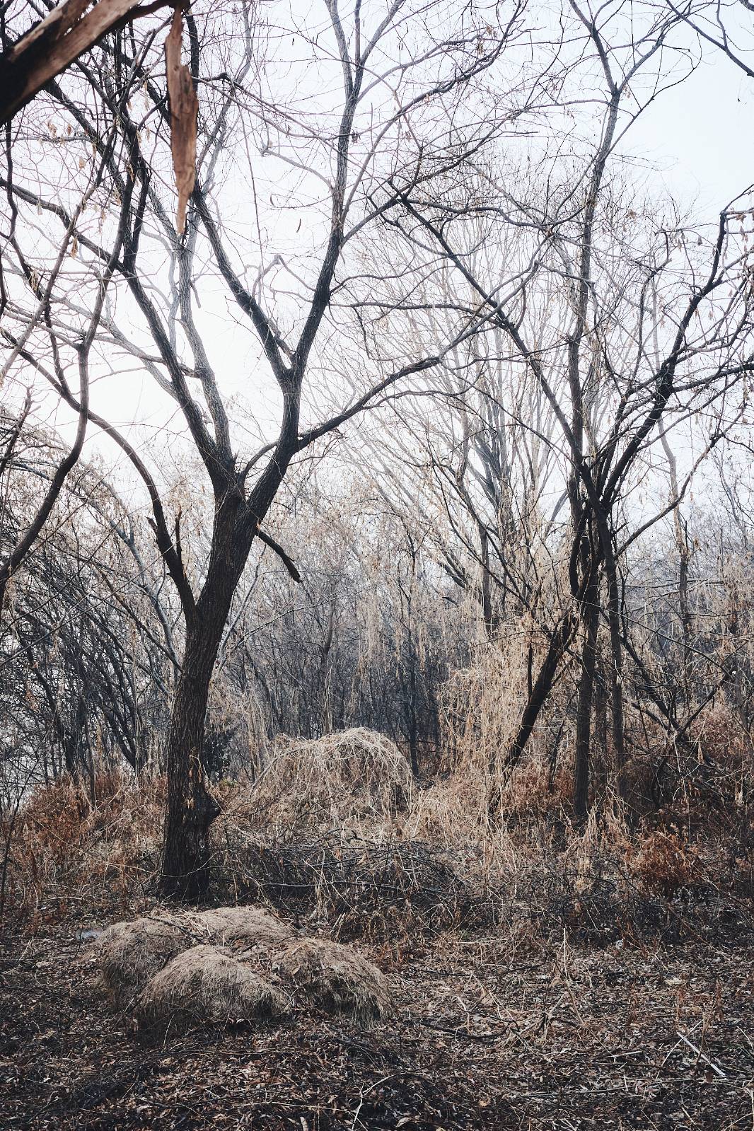[계절 표기법 X 월말 산문] 2026-1月의 썸네일 이미지