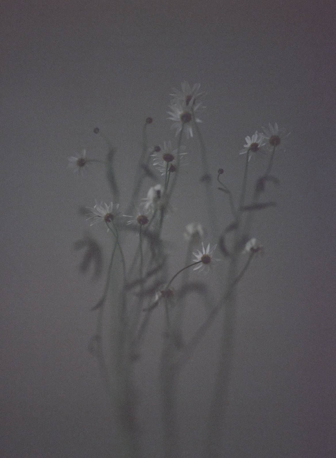 [계절 표기법 X 월말 산문] 2026-2月의 썸네일 이미지