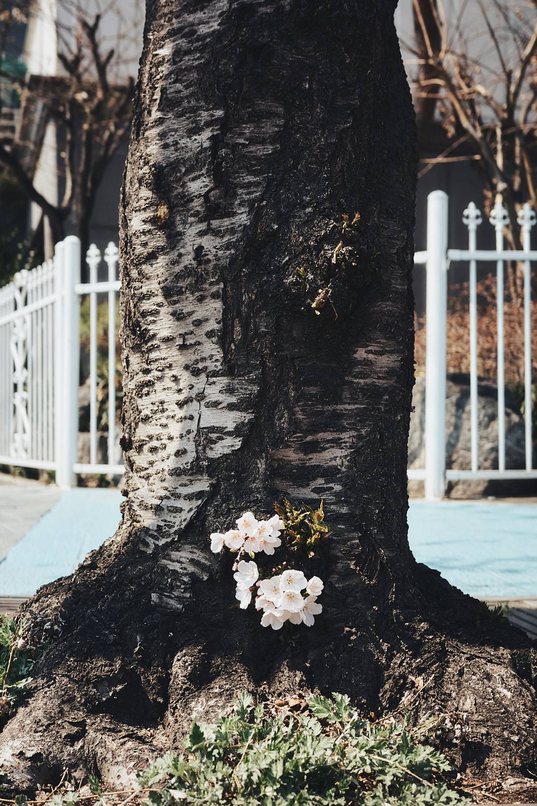 [계절 표기법 X 월말 산문] 2026-3月의 썸네일 이미지