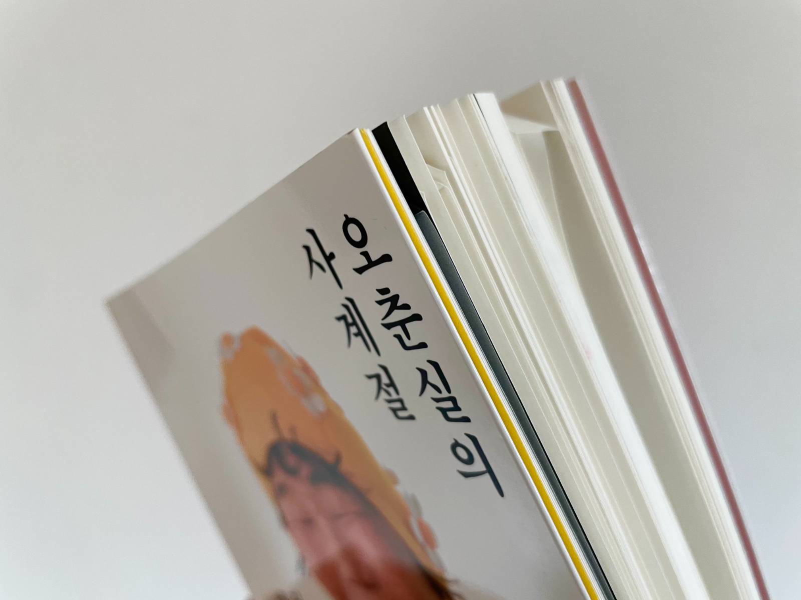 신나게 접어 댄 강아지 귀들!