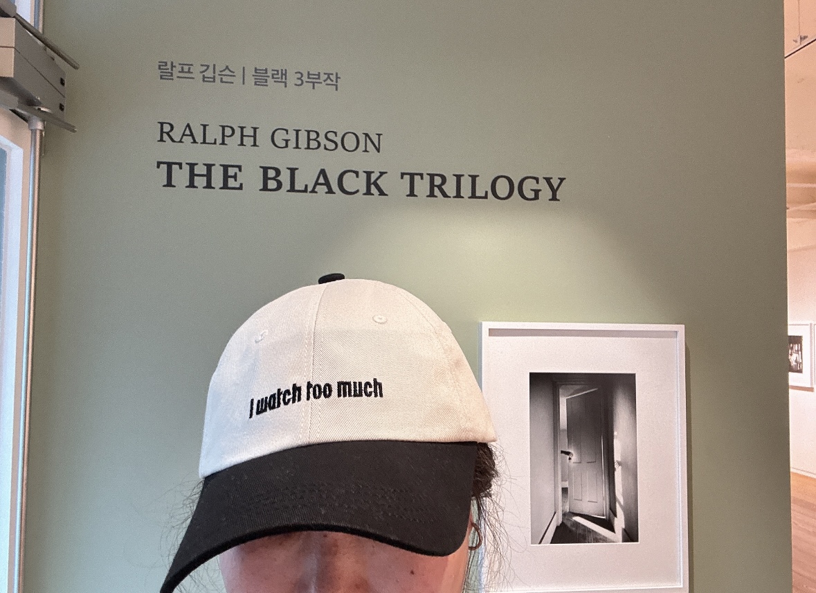 스파이-모든 것을 너무 많이 보고 있다