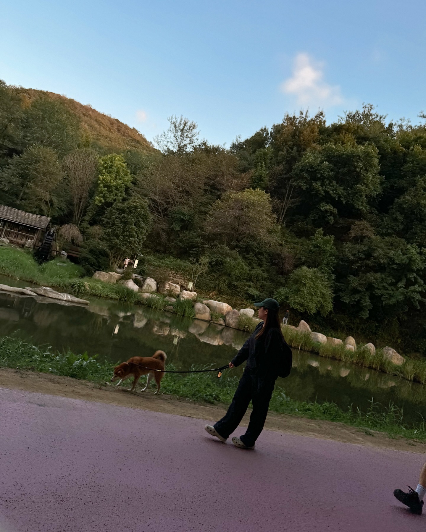 첨부 이미지