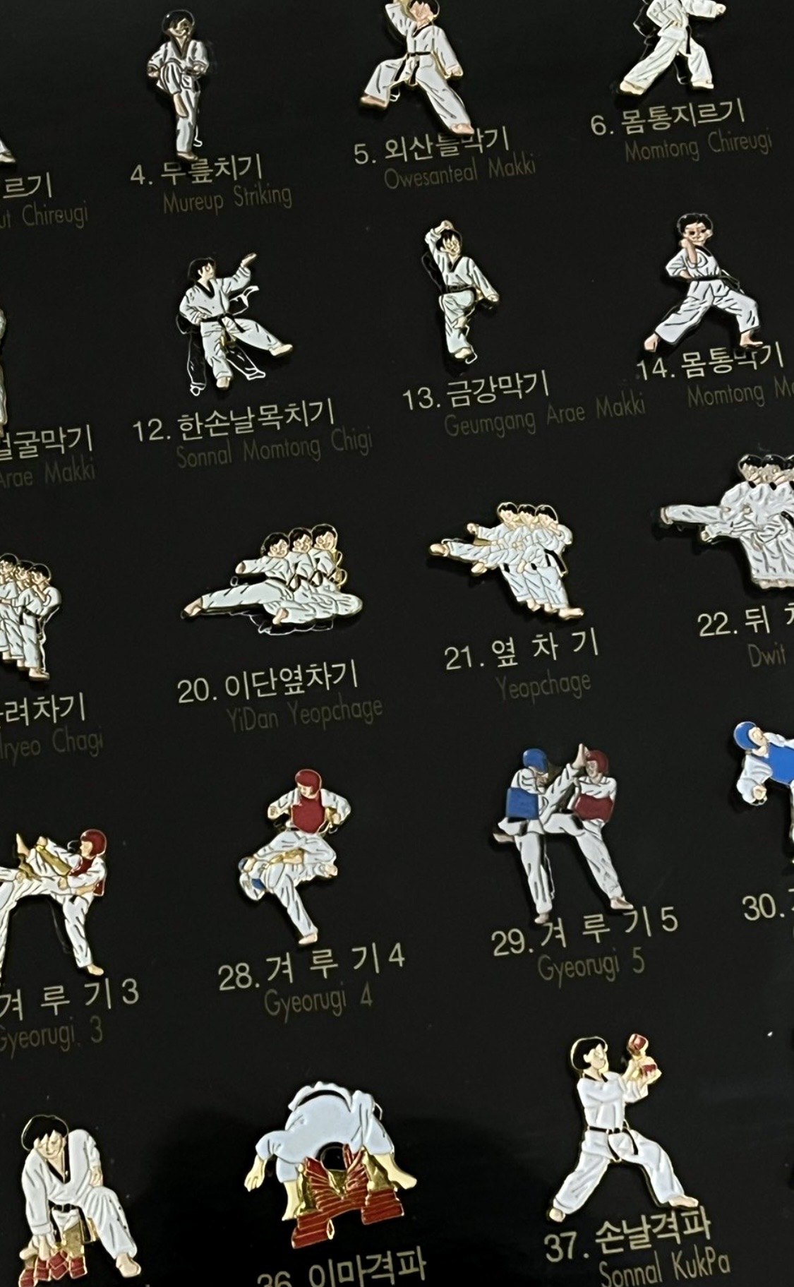 태권도 핀뱃지 40종. 당근에서 구매. 가장 좋아하는 발차기는 ‘돌개차기’