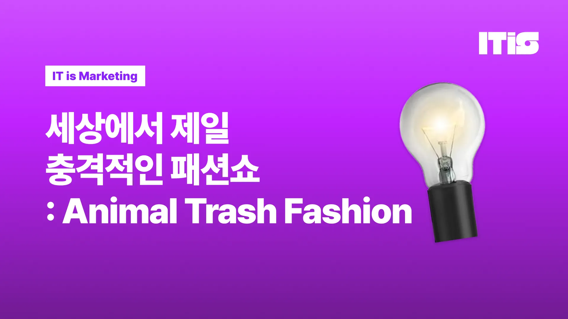 세상에서 제일 충격적인 패션쇼 ‘Animal Trash Fashion’의 썸네일 이미지