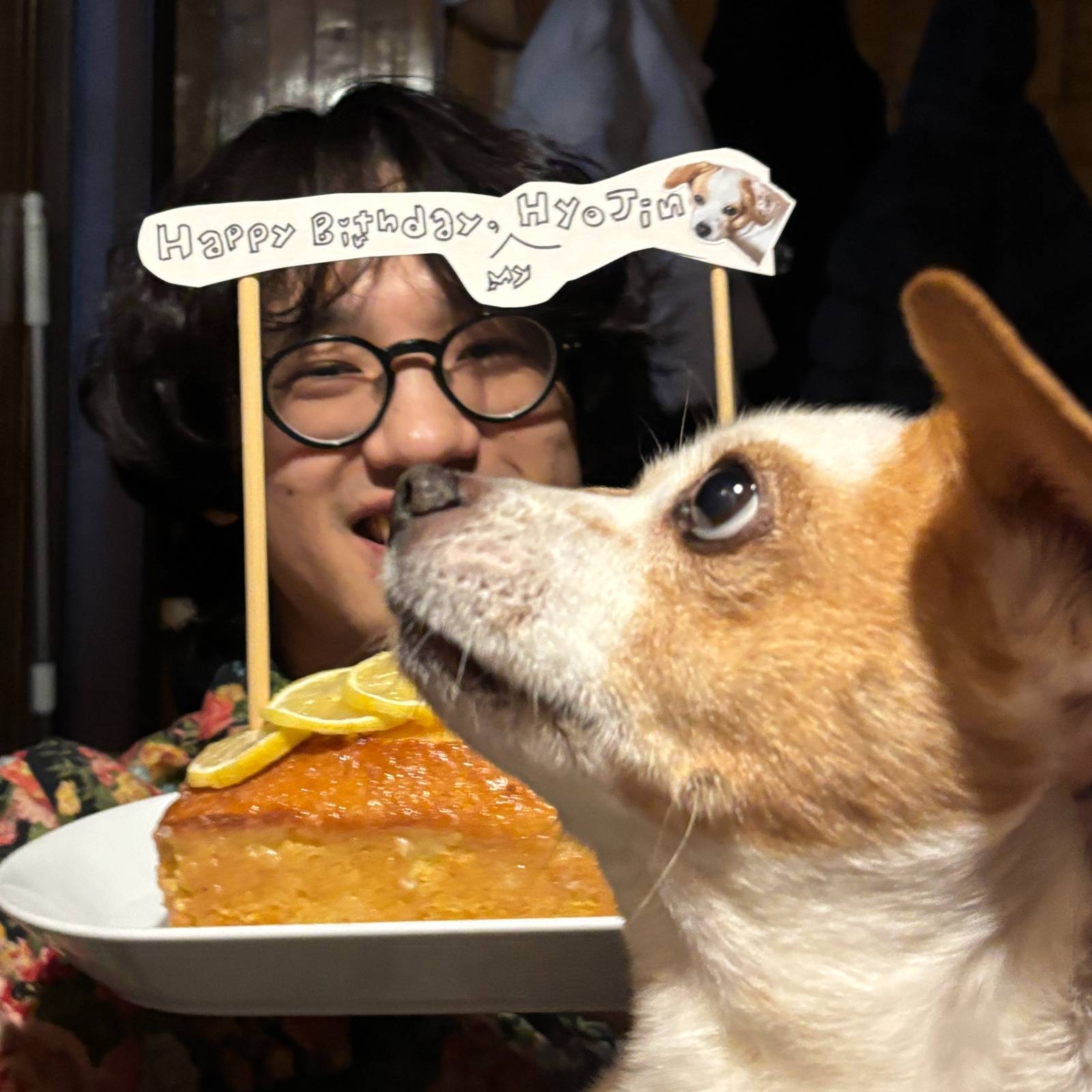 2월 12일은 제 생일이었어요! 호두야 고마워 🐶