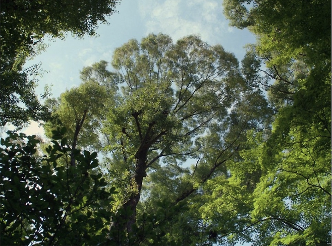 영화 <퍼펙트 데이즈> 스틸컷