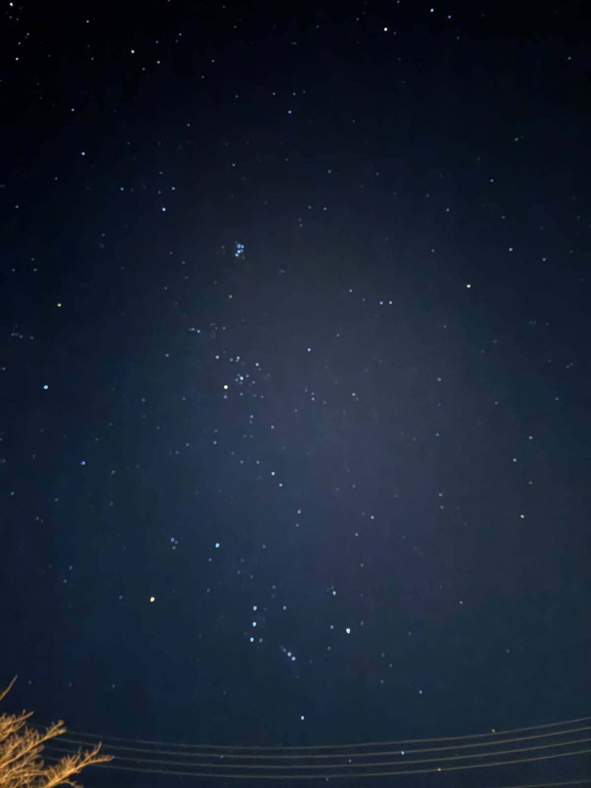 올해의 마지막 편지, 이제 새로운 시작을 곁들인의 썸네일 이미지