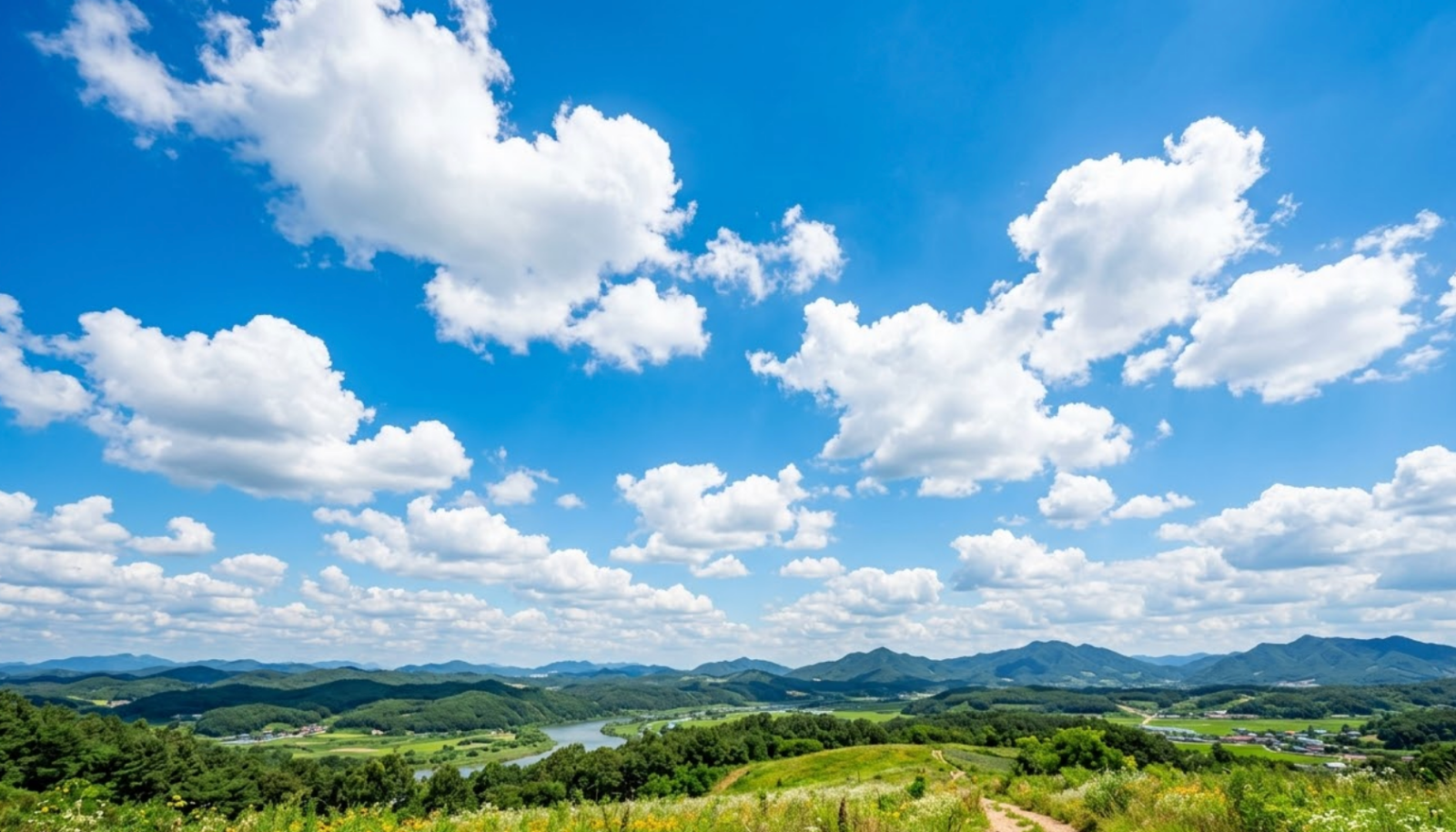 파랑은 없다.의 썸네일 이미지