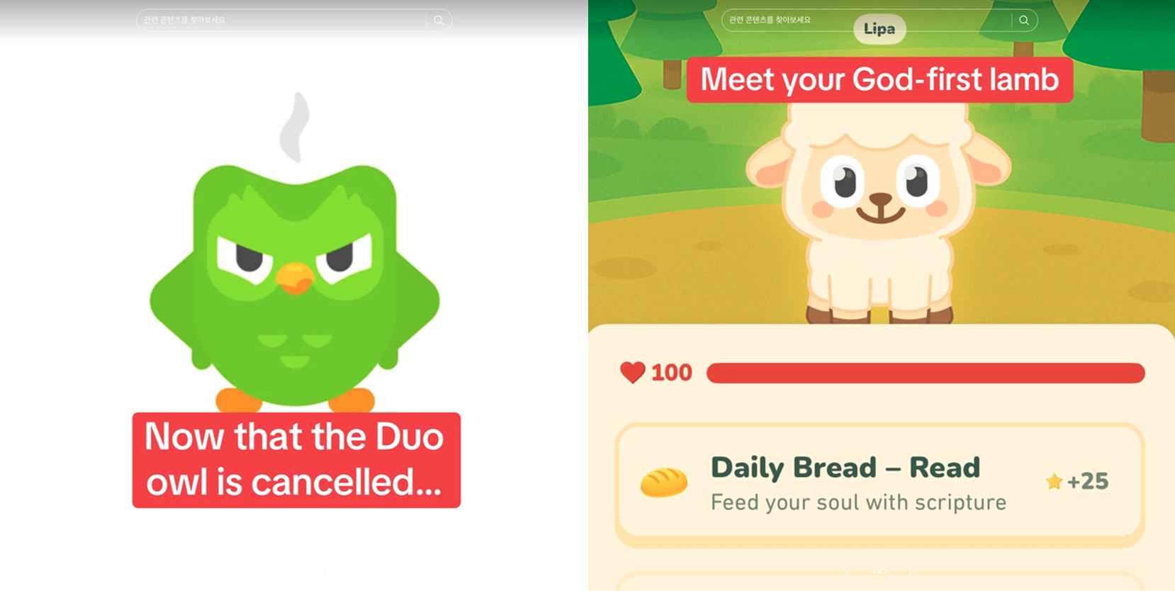 Duolingo 올빼미 말고 Shepherd 양을 선택하세요. (출처 : https://www.tiktok.com/@tryshepher)