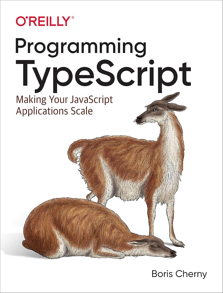 이미지 출처 : Programming TypeScript – Boris Cherny, O’Reilly Media