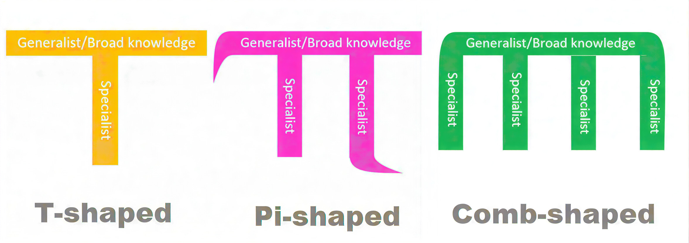 T-shaped, π-shaped, comb-shaped 인재 모델 비교이미지 출처 :&nbsp;“What T-Shaped, Π-Shaped & Comb-Shaped People Mean” by Dave Gerhardt, LinkedIn Pulse