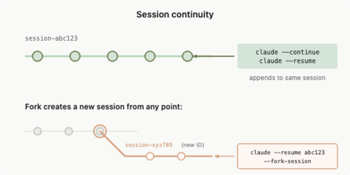 세션을 이어서 계속 실행하거나(resume), 특정 지점에서 분기(fork)해 장기 작업을 수행할 수 있는 구조를 보여주는 다이어그램.이미지 출처 :&nbsp;Anthropic, Claude documentation