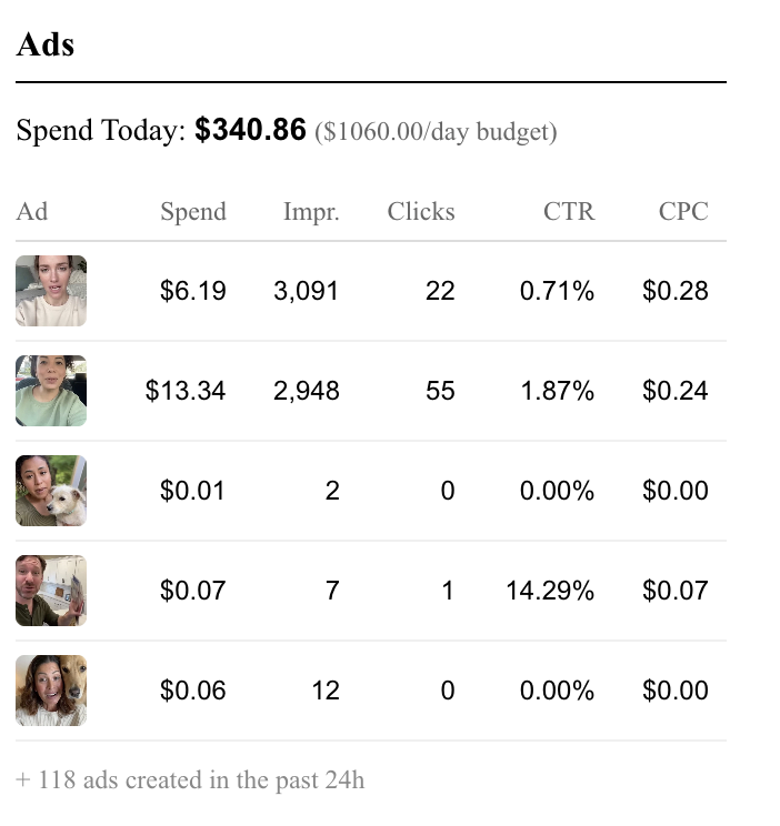 이미지 출처 : polsia.com
