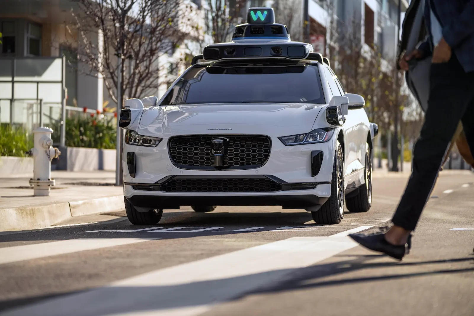 이미지 출처 : waymo.com