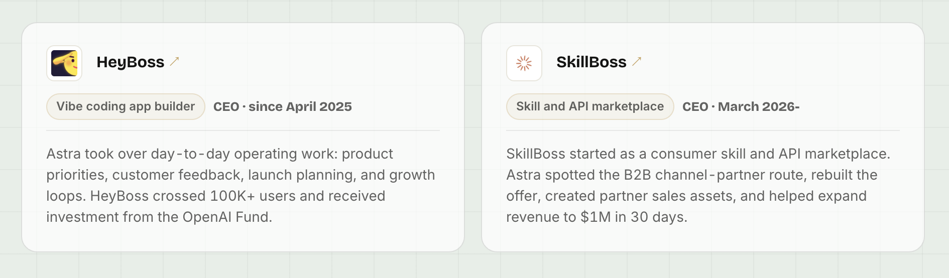 HeyBoss는 10만 유저, SkillBoss는 30일 만에 ARR 100만 달러를 기록했다.이미지 출처 : tycoon.us