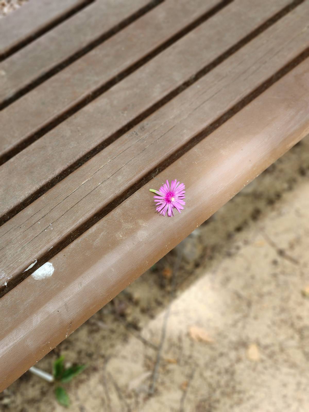 그의 이름은 곰방 스님 (1)의 썸네일 이미지