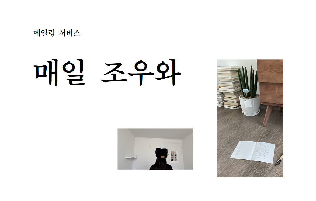 예술이냐 술이냐 , 소주에서 막걸리까지 의 썸네일 이미지