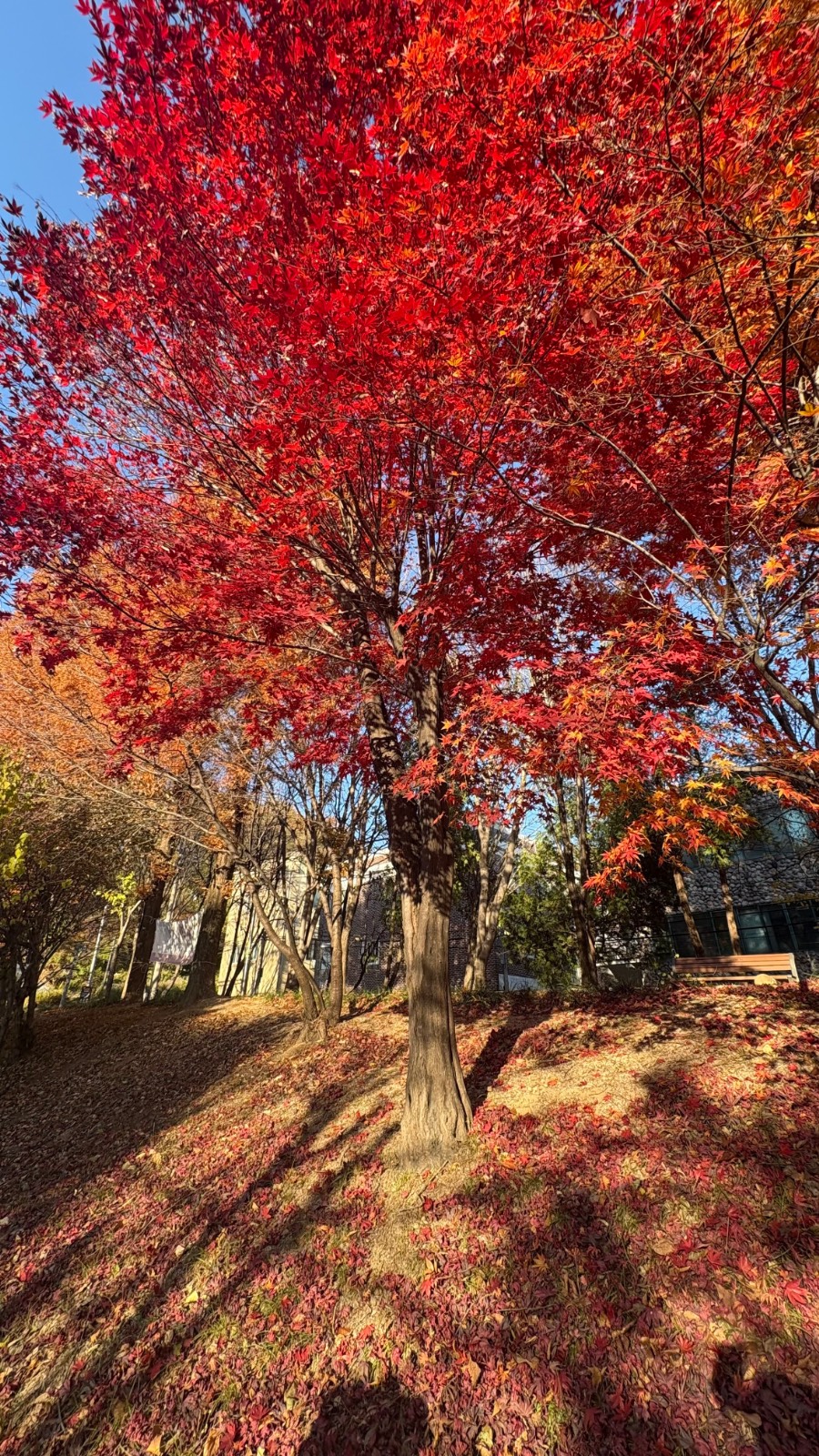 얼음 두 조각 / 녹은 마음 두 컵의 썸네일 이미지