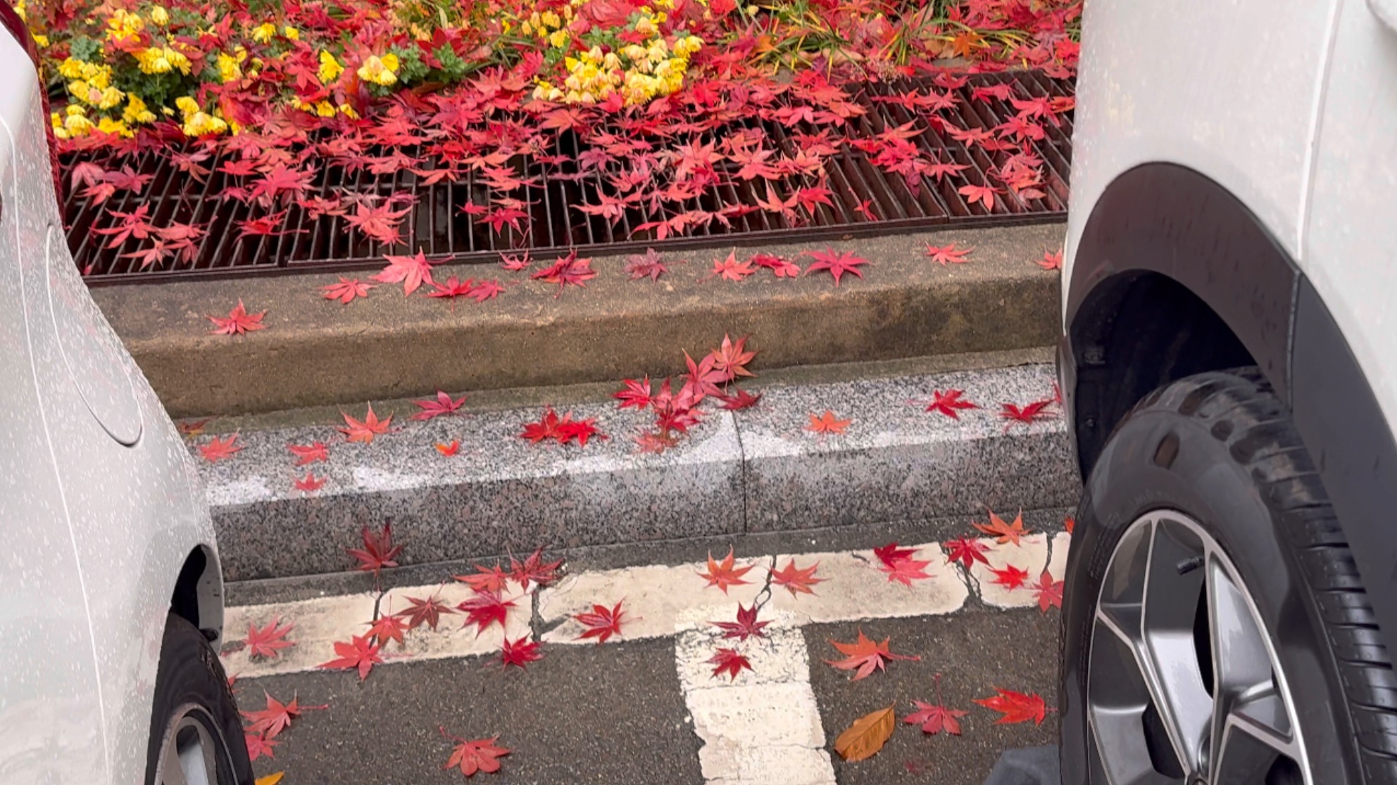 to. 오십 대의 나에게 전하는 손절 의 썸네일 이미지