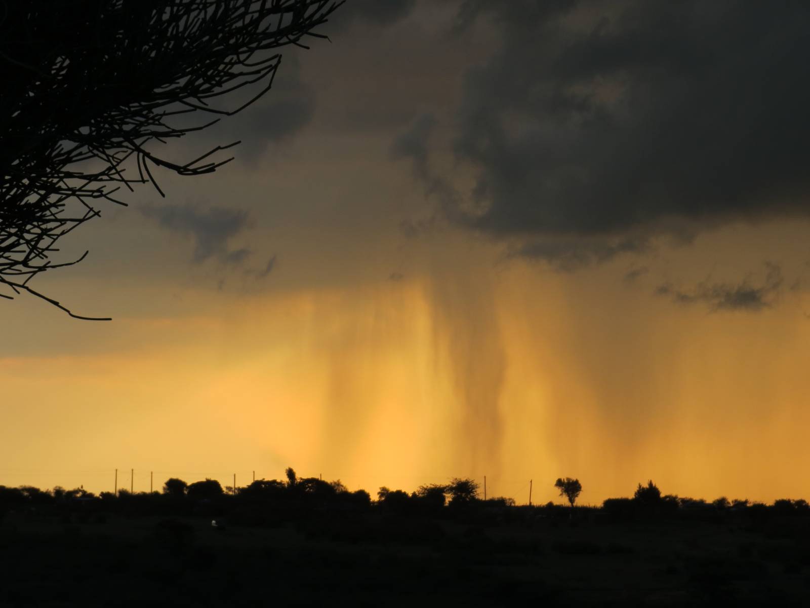 비 오는 마사이 마라.