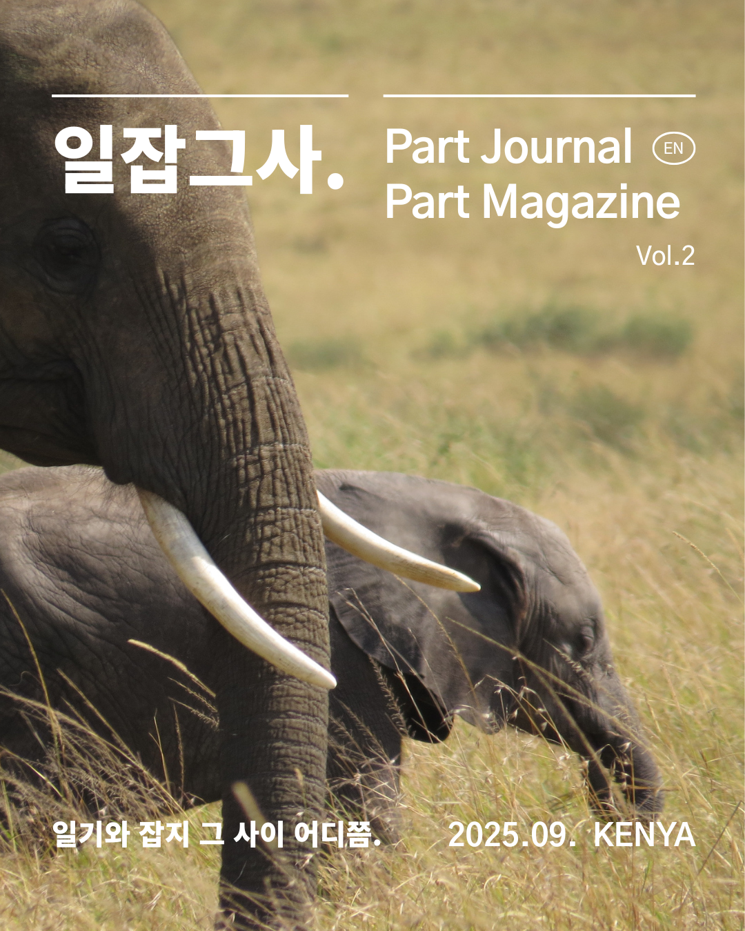 Vol 2. 케냐 KENYA의 썸네일 이미지