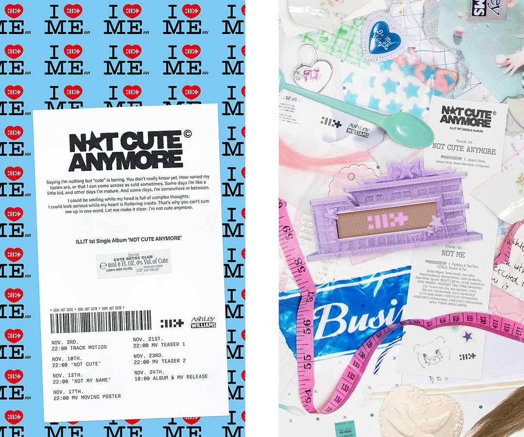 (좌) [NOT CUTE ANYMORE] Promotion Calendar / (우) Track Motion