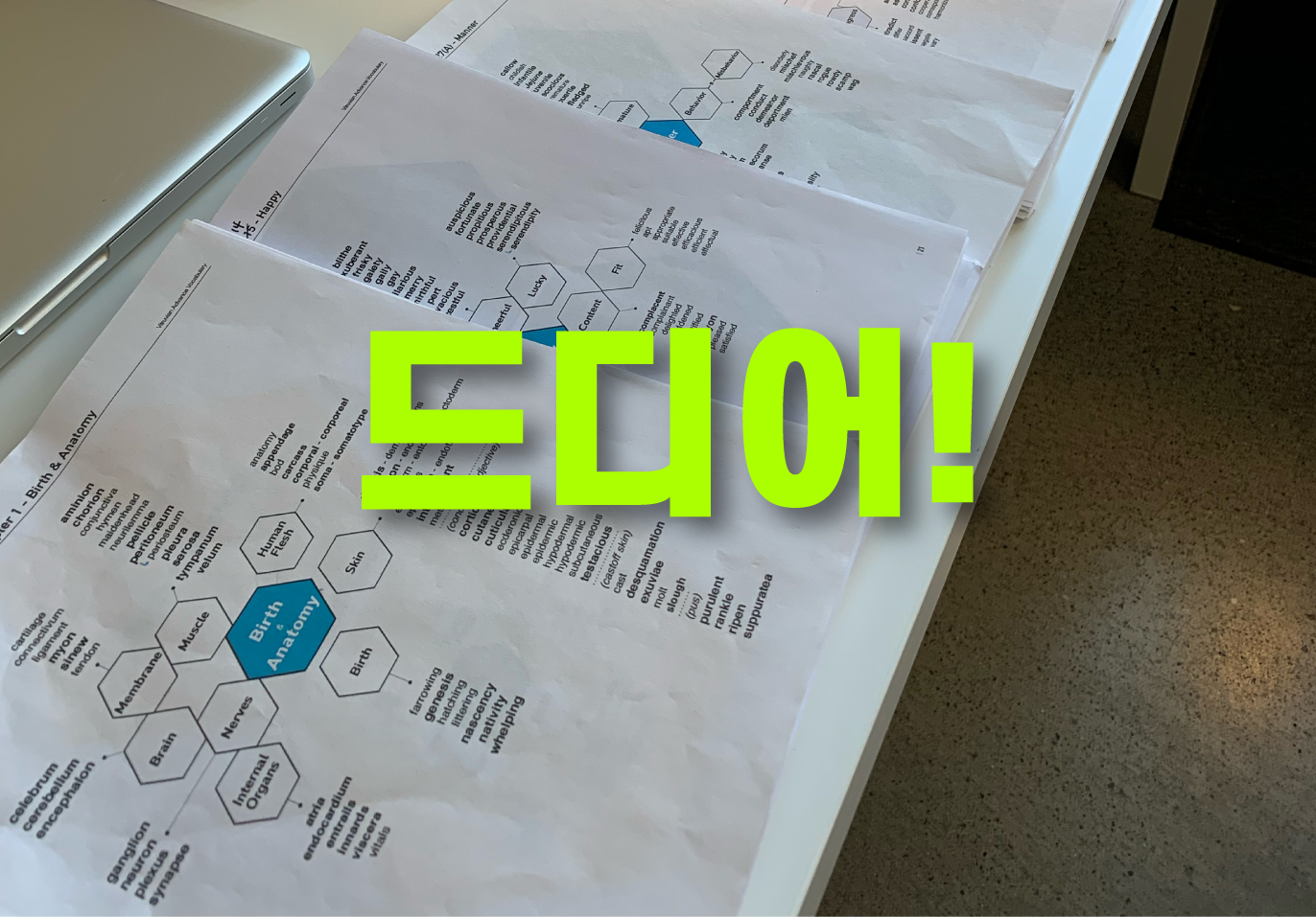 단어을 암기하는게 아니고, 확장형으로 이해하는 구조