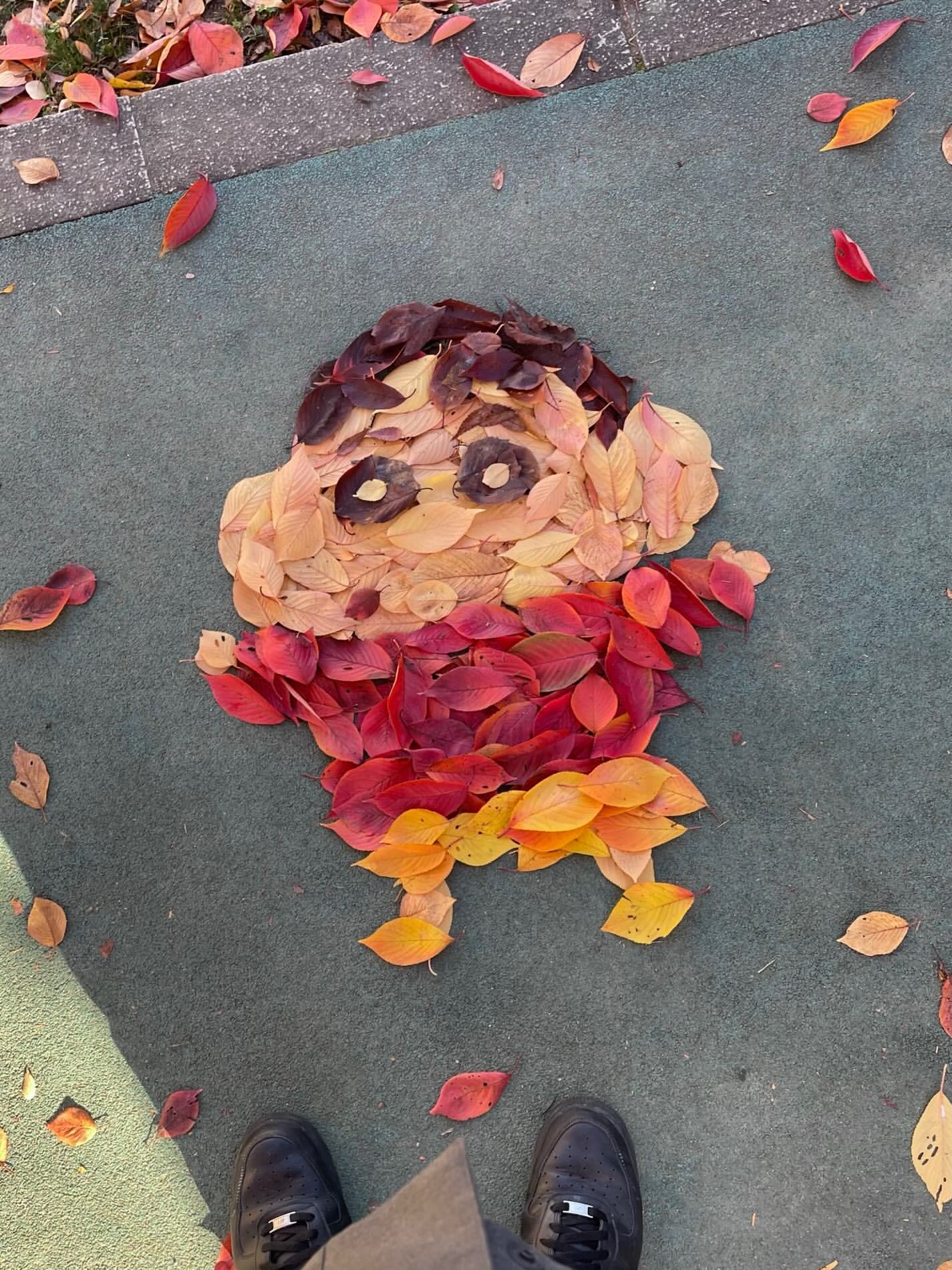 ⓒ 인스타그램 계정 'hamacream'